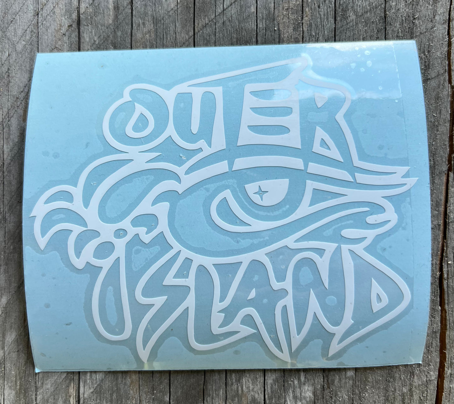 PALM EYE LOGO